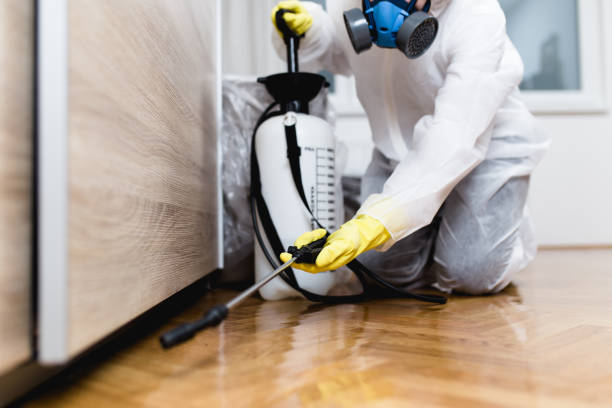 Best Commercial Pest Control Services  in Bosque Farms, NM