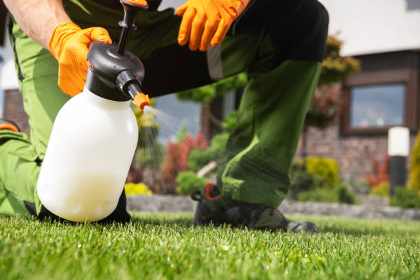 Best Mosquito Control Services  in Bosque Farms, NM