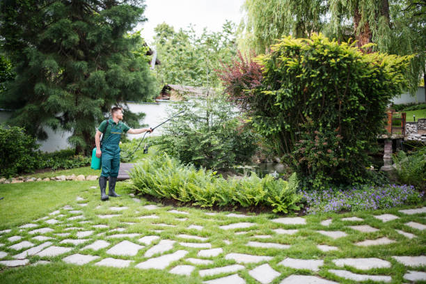 Best Best Pest Control Companies  in Bosque Farms, NM