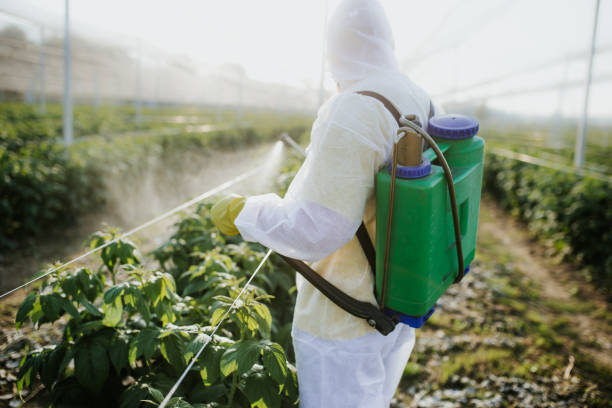 Bosque Farms, NM Pest Control Company